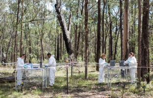 L’UQTR crée le premier laboratoire de corps en décomposition au pays