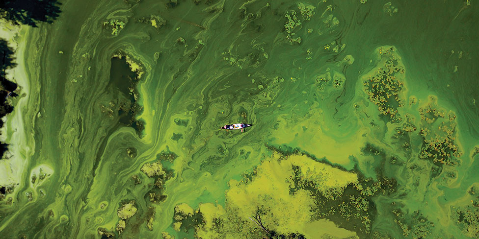 Aerial shot of green water.