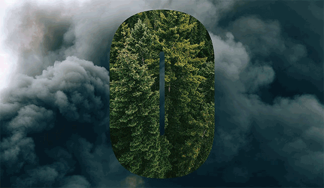 Animated image of trees with smoke.
